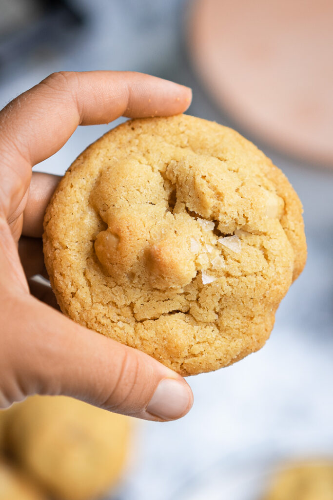 a round macadamia cookie held in hand up close